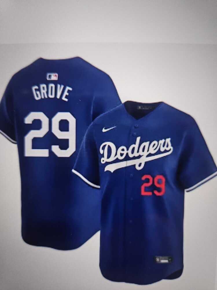 Mens Los Angeles Dodgers #29 Michael Grove Blue Stitched Baseball Jersey